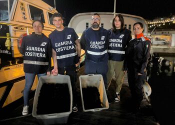 Pesca di frodo, fermate tre persone con oltre 1.500 ricci di mare: 17mila euro di sanzioni