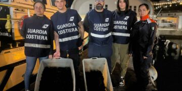 Pesca di frodo, fermate tre persone con oltre 1.500 ricci di mare: 17mila euro di sanzioni