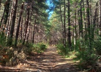 A Tufillo la 14ª edizione dell’escursione in ricordo di Maurizio Salvatore