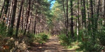 A Tufillo la 14ª edizione dell’escursione in ricordo di Maurizio Salvatore