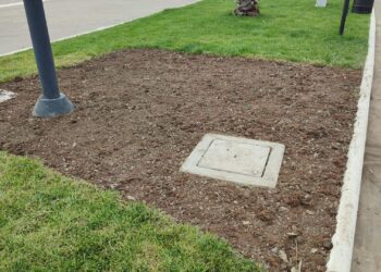 Prato del lungomare, rimosse le parti ingiallite: sostituite con zolle nuove