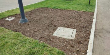 Prato del lungomare, rimosse le parti ingiallite: sostituite con zolle nuove