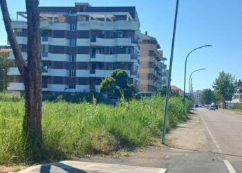 «Stagione iniziata, ma San Salvo Marina non è curata. Piazza Arafat a pagamento, vergognoso»