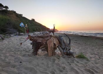 Rami e detriti portati a riva dalle onde “prendono vita” a Punta Penna grazie a bagnanti-artisti