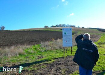 Tramonta il progetto di discarica della Vallecena srl a Furci: bocciatura dal Consiglio di Stato