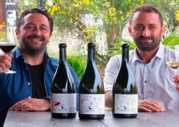 Fontefico, la pop art nelle etichette per esaltare la personalità di ogni vigneto