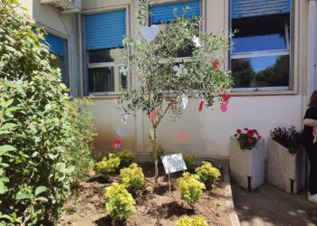 Un ulivo per ricordare Martina: «In sua memoria coltiviamo la speranza»