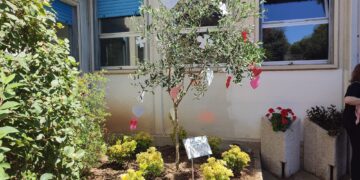 Un ulivo per ricordare Martina: «In sua memoria coltiviamo la speranza»