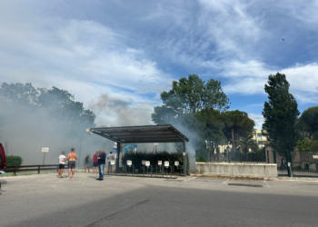 Incendio in lungomare Duca degli Abruzzi: residenti e bagnanti cercano di domarlo
