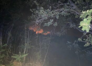 Pollutri, rogo di sterpaglie e sottobosco in contrada Civita