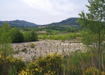 Il Trigno a secco finisce in un esposto alla Procura della Repubblica: «Fauna ittica scomparsa»