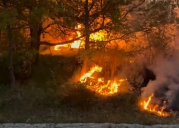 Scoppia l’incendio sul Monte Sorbo, quattro ragazzi sfidano le fiamme e ne fermano l’avanzata