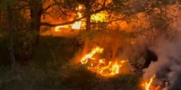 Scoppia l’incendio sul Monte Sorbo, quattro ragazzi sfidano le fiamme e ne fermano l’avanzata