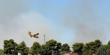 Incendio a ridosso del cimitero di Cupello, in azione canadair ed elicottero