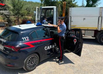 Evade dai domiciliari e ruba un camion a Torino di Sangro: arrestato 47enne foggiano