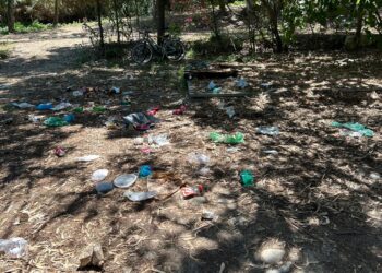 Altro che parco: dietro la spiaggia di Canale immondizia sparsa tra gli alberi