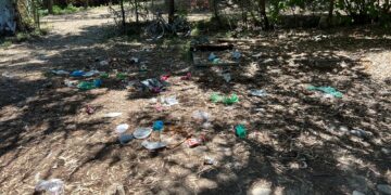 Altro che parco: dietro la spiaggia di Canale immondizia sparsa tra gli alberi