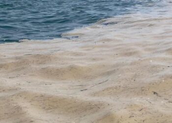 Mucillagine, a Vasto Marina sarà potenziata la pulizia a mano. Sindaci chiedono incontro a Marsilio