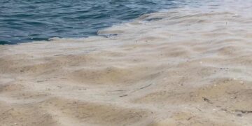 Mucillagine, a Vasto Marina sarà potenziata la pulizia a mano. Sindaci chiedono incontro a Marsilio