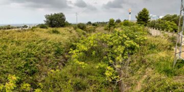 Torna d’attualità l’ex ferrovia della zona industriale di San Salvo, l’Arap riapre il raccordo