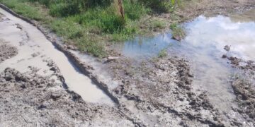 «Condotta irrigua, due rotture in pochi giorni: con la crisi idrica è uno spreco»