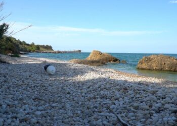Canale, il parco attrezzato nel 2025: «Sulla spiaggia faremo i concerti»