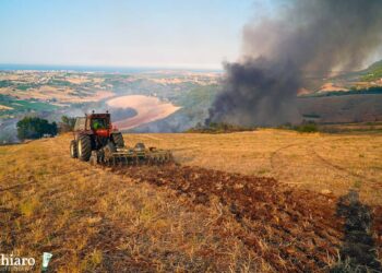 Canadair ed elicotteri per spegnere l’incendio a Lentella. Il prezioso aiuto dei cittadini