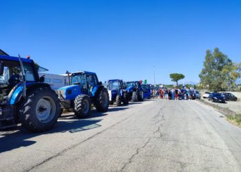 Agricoltori, la protesta di Ferragosto: oggi corteo di trattori a Punta Penna