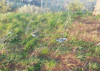 «Inciviltà e degrado: il belvedere San Nicola è terra di nessuno»