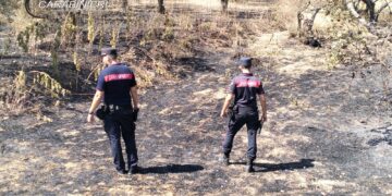 Uso di una saldatrice causa rogo di uliveto, un denunciato per incendio colposo