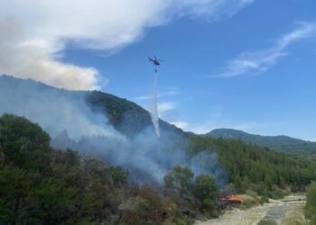 Bosco in fiamme vicino alla Trignina, elicottero e numerose squadre lottano contro il fuoco