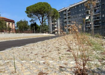 Vasto, quartiere San Paolo: nuovo parcheggio vuoto e alberi secchi