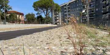 Vasto, quartiere San Paolo: nuovo parcheggio vuoto e alberi secchi