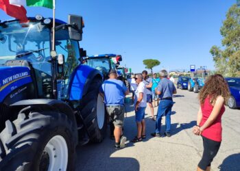 Agricoltori, la protesta di Ferragosto: «Siamo allo stremo»