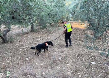 Le ricerche di Di Giacomo proseguiranno tutta la notte, sul posto anche un elicottero