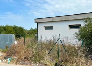 L’acqua “dimenticata” tra gli ulivi di Vasto, «Vent’anni fa opera presentata tra grandi speranze»