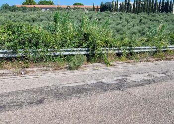 Strada zona industriale San Salvo-Montalfano, «Ormai è la strada della vergogna»