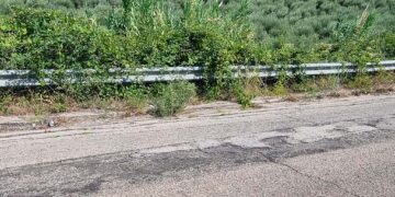 Strada zona industriale San Salvo-Montalfano, «Ormai è la strada della vergogna»