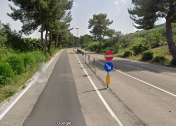 «Randagismo in via Mario Molino, pericolo per chi va in moto, bici o fa jogging»