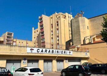 Investito in bici mentre torna da lavoro, grave 18enne. Si cerca auto pirata