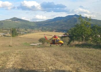 Vanno a raccogliere funghi e rimangono intossicati: 5 inglesi soccorsi con l’eliambulanza