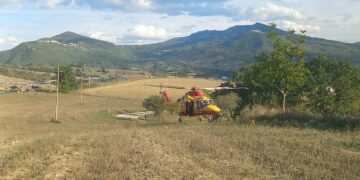 Vanno a raccogliere funghi e rimangono intossicati: 5 inglesi soccorsi con l’eliambulanza