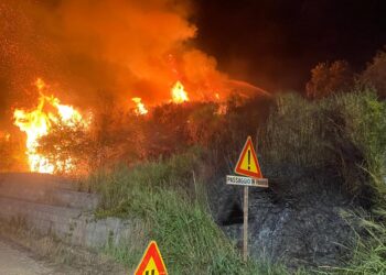 Rogo lambisce la strada che porta a Fresagrandinaria, pompieri lottano contro le fiamme