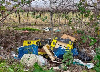 Pubblicata l’ordinanza anti-abbandono di rifiuti: multe più severe per gli incivili