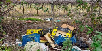 Pubblicata l’ordinanza anti-abbandono di rifiuti: multe più severe per gli incivili