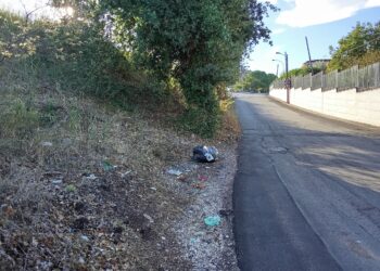 Passano e gettano i sacchetti dal finestrino: strade periferiche cosparse di rifiuti