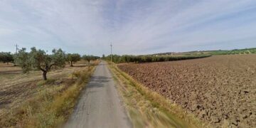 Pannelli solari e carciofi: via libera all’impianto agrivoltaico in contrada Selvotta