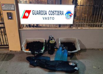 1.200 ricci di mare pescati abusivamente nel mare di Casalbordino: multa da mille euro