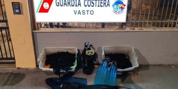 1.200 ricci di mare pescati abusivamente nel mare di Casalbordino: multa da mille euro