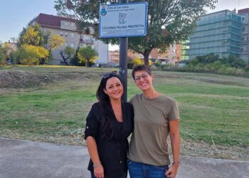 San Salvo, segnaletica per indicare le colonie feline protette